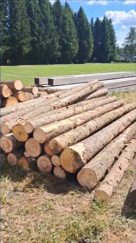 ROUND PINEWOOD WITH BARK 