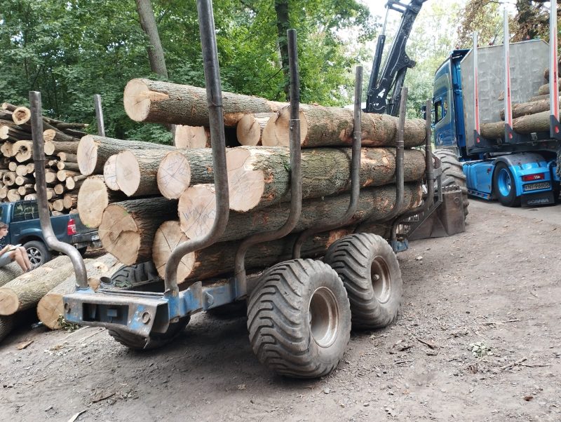 ROUND ASH WOOD WITH BARK 