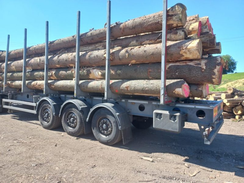 ROUND SPRUCEWOOD WITH BARK 