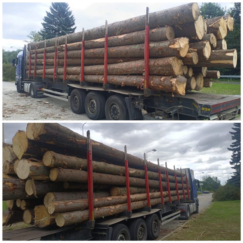 ROUND SPRUCEWOOD WITH BARK 