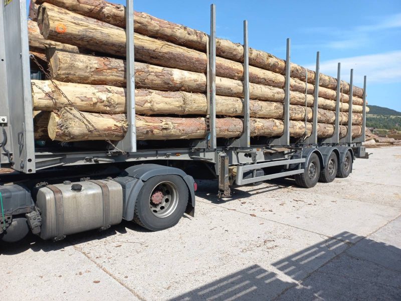 ROUND PINEWOOD WITH BARK