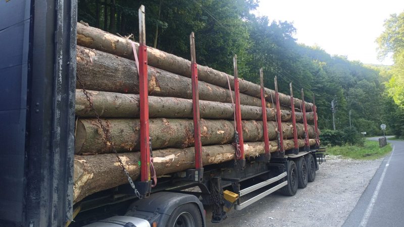 ROUND SPRUCEWOOD WITH BARK