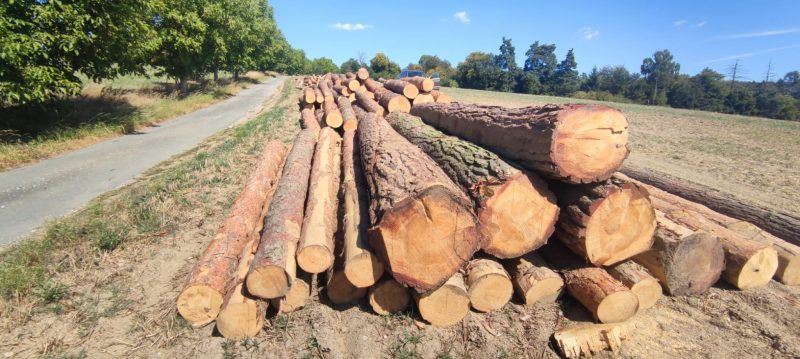 ROUND PINEWOOD WITH BARK