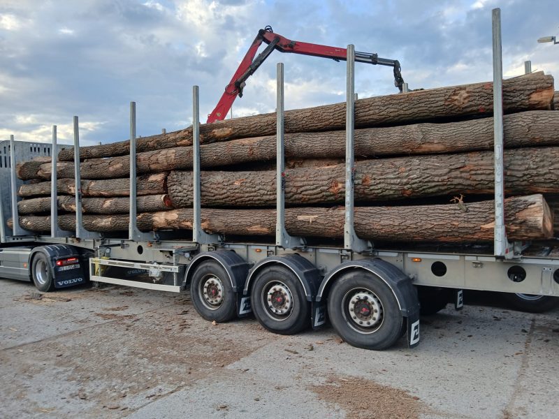 ROUND OAK WOOD WITH BARK 