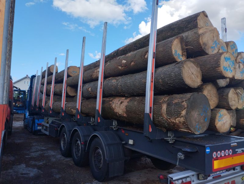 ROUND ASH WOOD WITH BARK 
