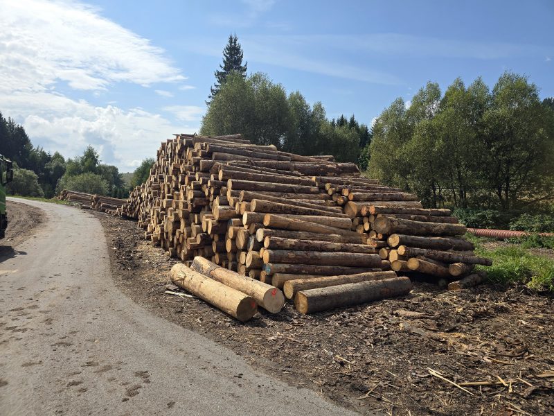 PALLET WOOD