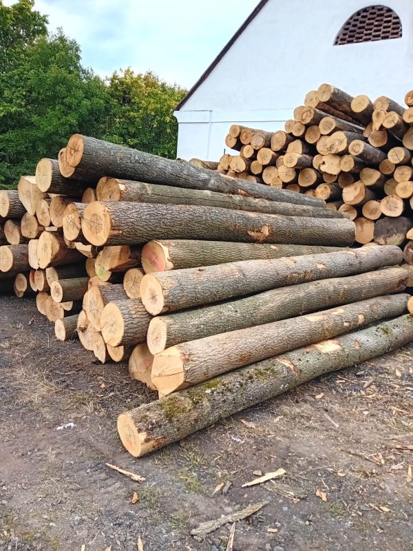 ROUND ASH WOOD WITH BARK