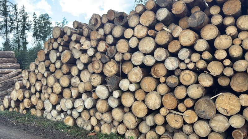 PALLET WOOD