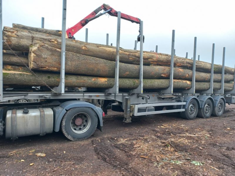 ROUND ASH WOOD WITH BARK