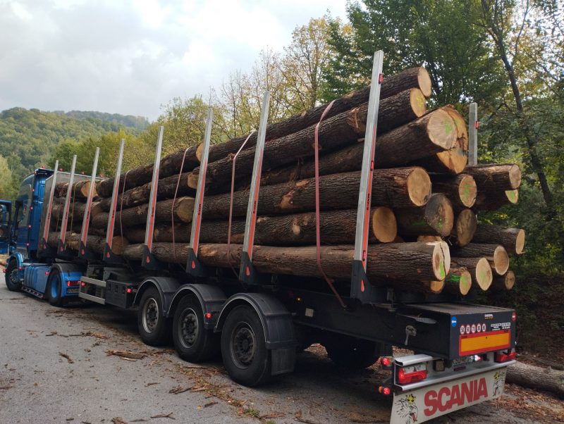 ROUND OAK WOOD WITH BARK