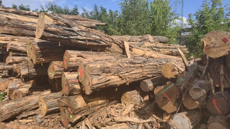 ACACIA LOGS