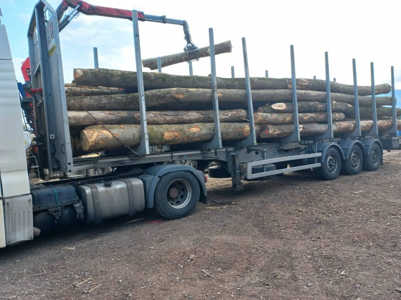 ROUND ASH WOOD WITH BARK