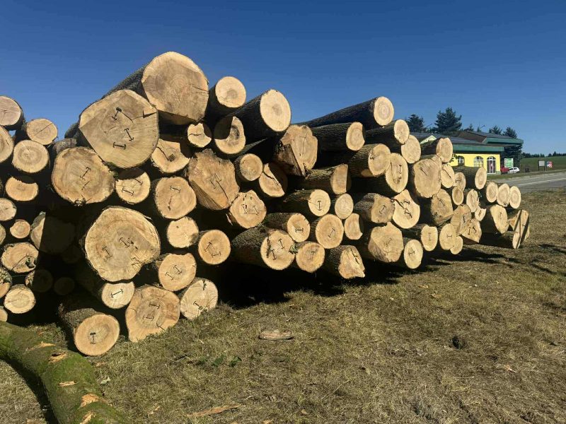 ROUND ASH WOOD WITH BARK