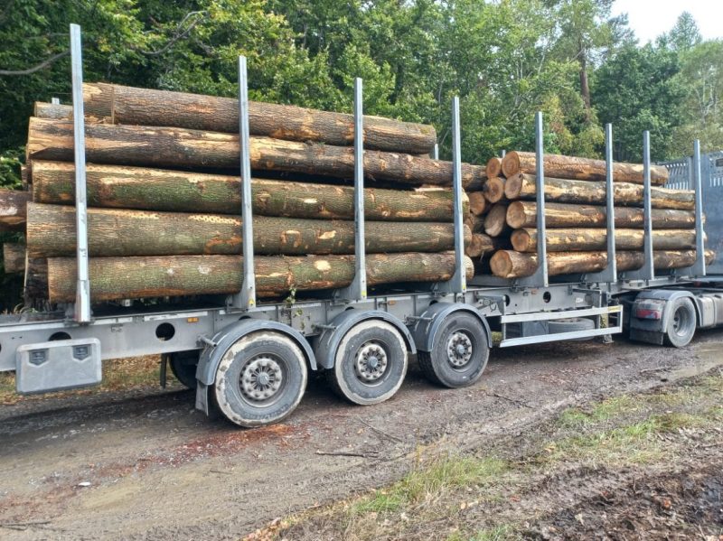 ROUND ASH WOOD WITH BARK