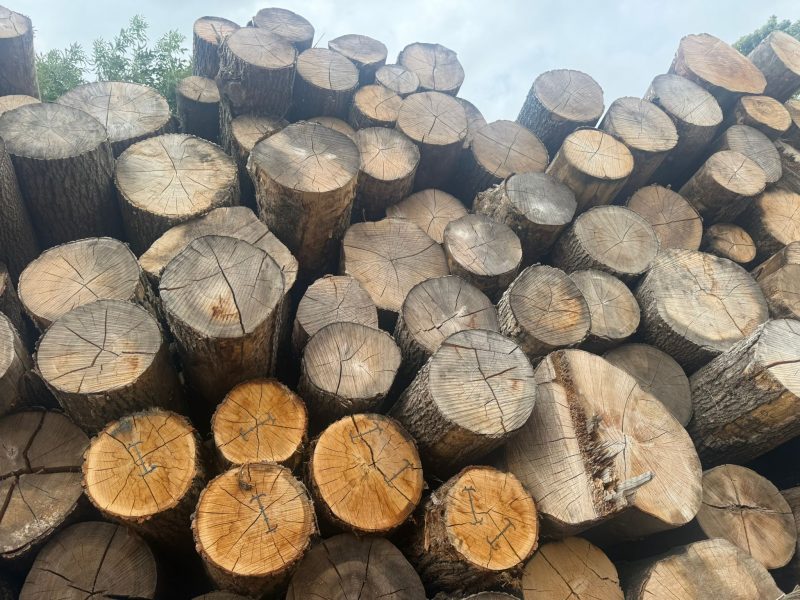 ROUND ASH WOOD WITH BARK