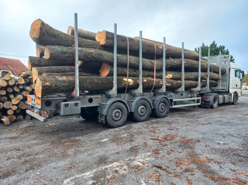 ROUND ASH WOOD WITH BARK 