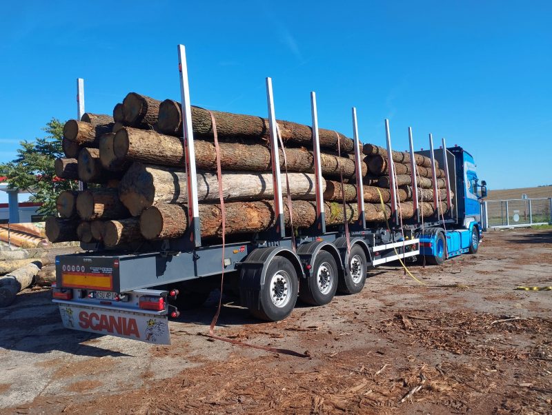 ROUND OAK WOOD WITH BARK 