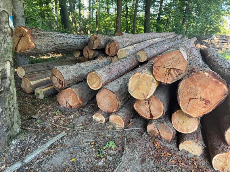 LARCH WOOD ROUND WITH BARK 