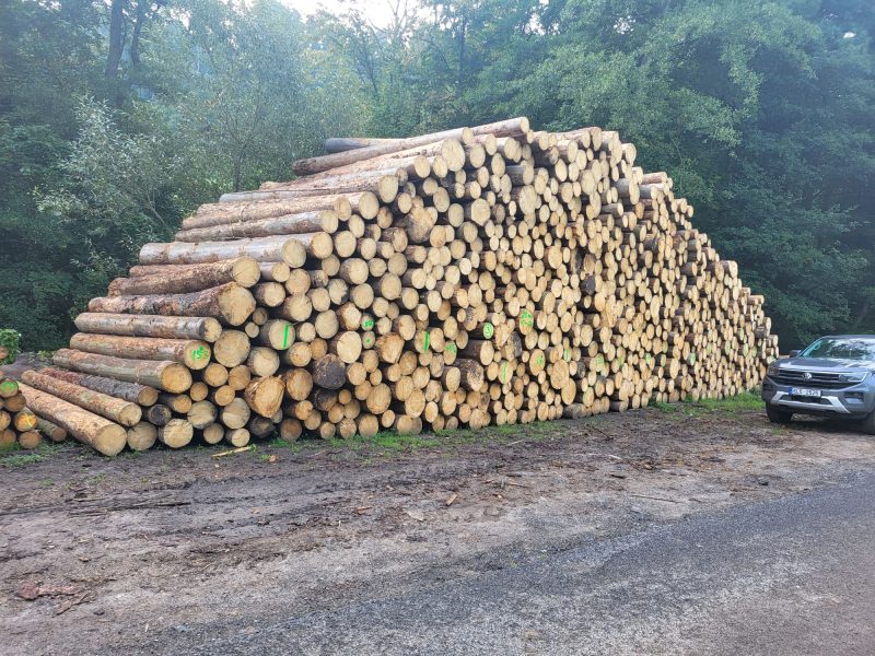 ROUND SPRUCEWOOD WITH BARK 