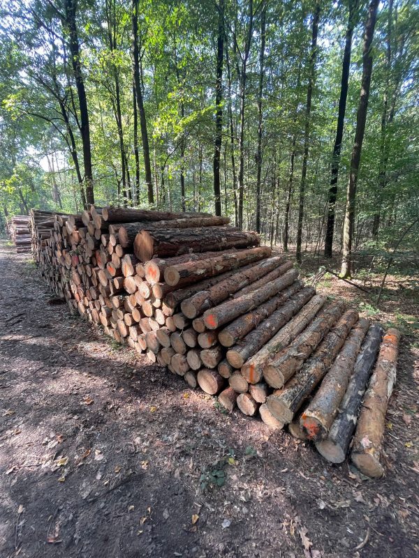 PALLET WOOD 
