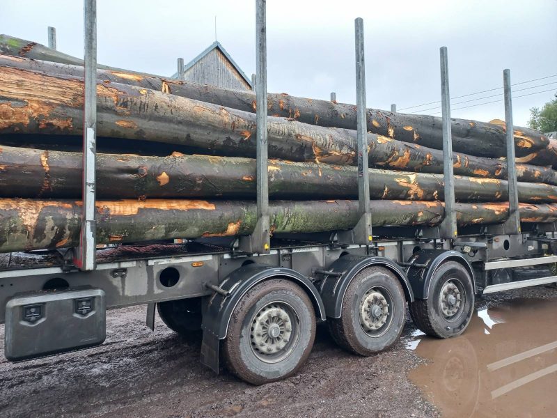 ROUND BEECHWOOD WITH BARK 
