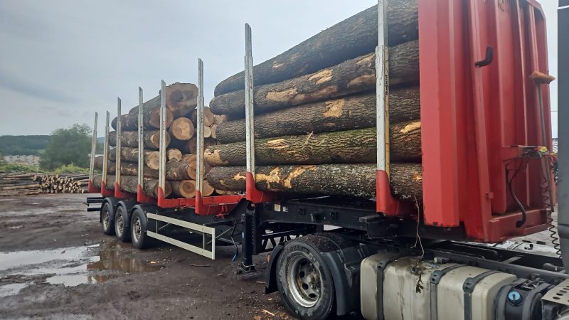 ROUND ASH WOOD WITH BARK