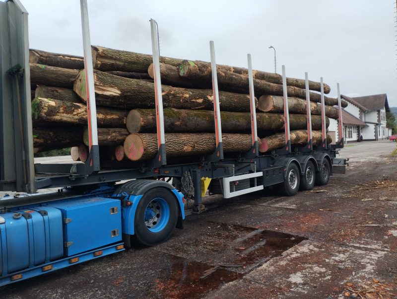 ROUND ASH WOOD WITH BARK