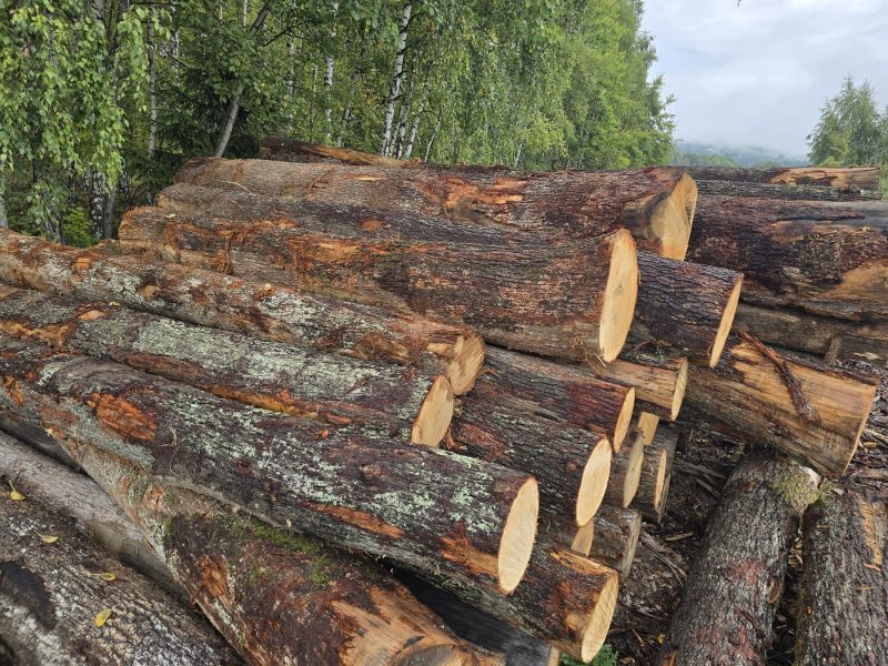 ROUND OAK WOOD WITH BARK 