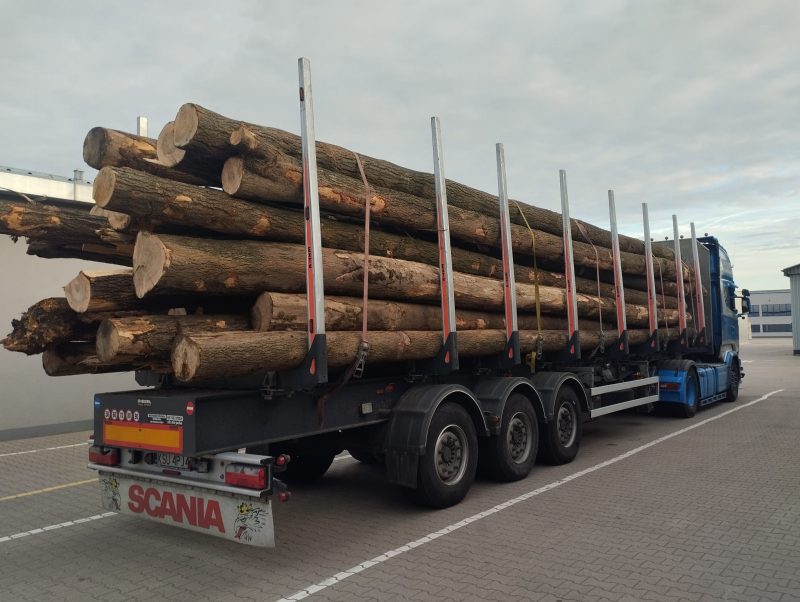 ROUND ASH WOOD WITH BARK