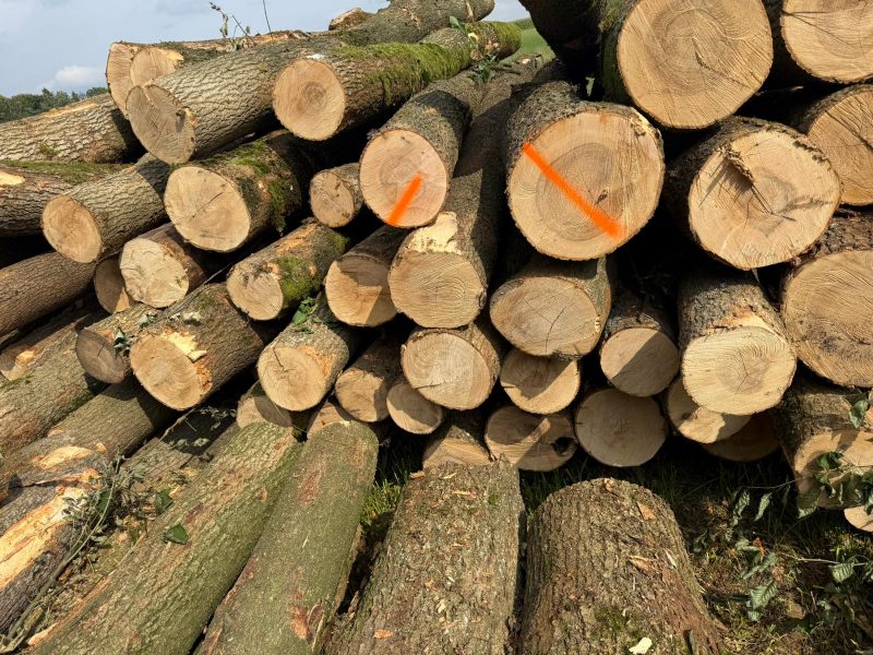 ROUND ASH WOOD WITH BARK