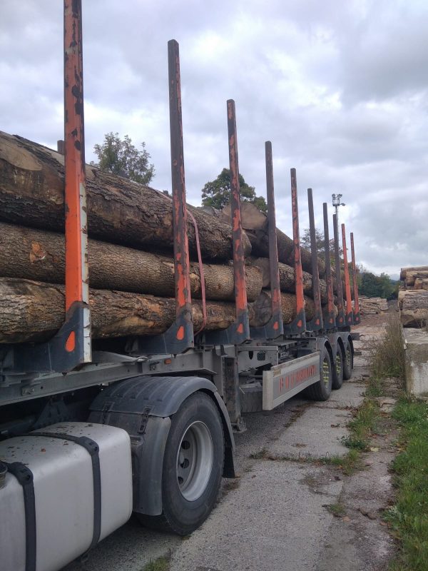 ROUND ASH WOOD WITH BARK