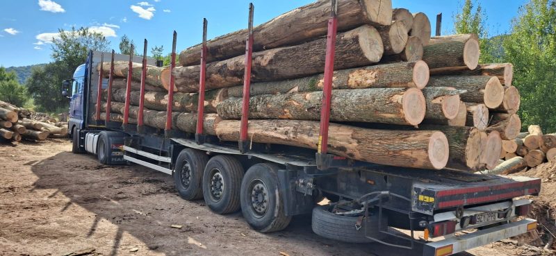 ROUND ASH WOOD WITH BARK