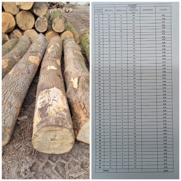 ROUND ASH WOOD WITH BARK