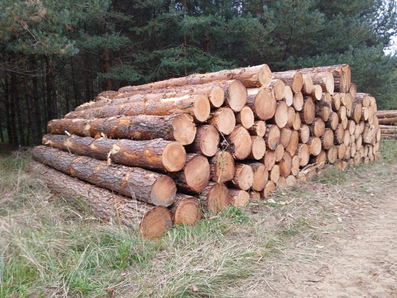 ROUND PINEWOOD WITH BARK 
