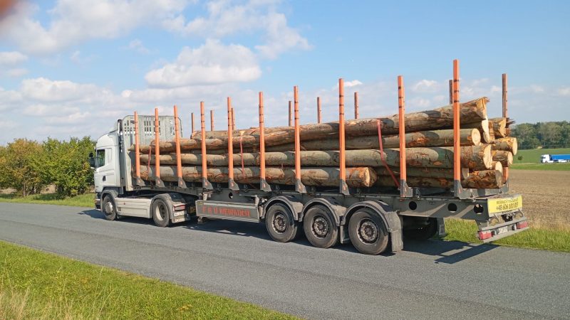 ROUND BEECHWOOD WITH BARK 