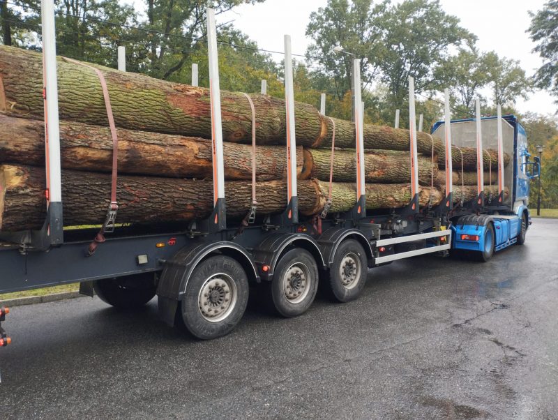 ROUND OAK WOOD WITH BARK 