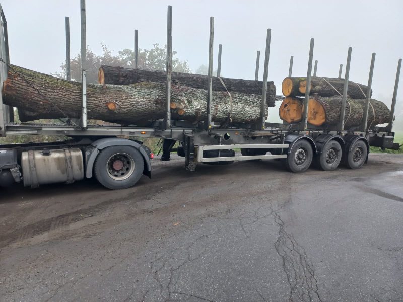 ROUND OAK WOOD WITH BARK 