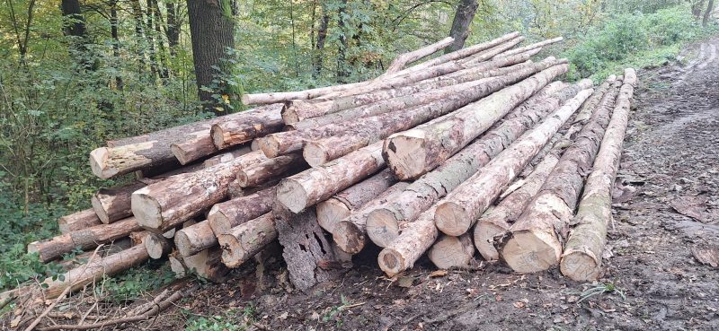 PALLET WOOD Pallet-grade spruce
