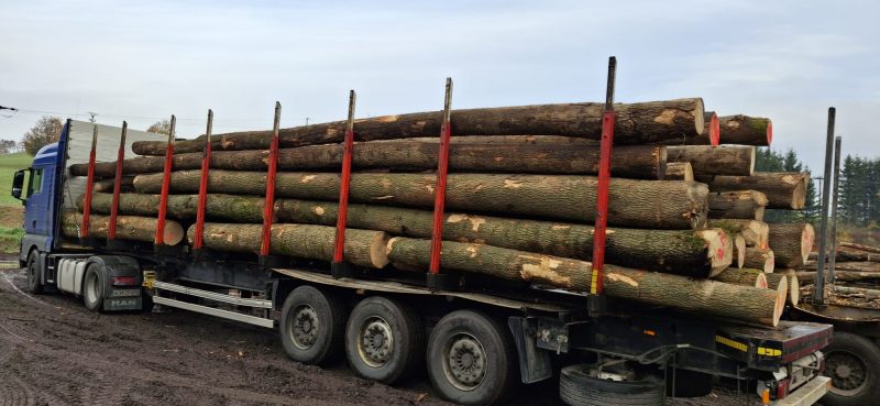 ROUND ASH WOOD WITH BARK