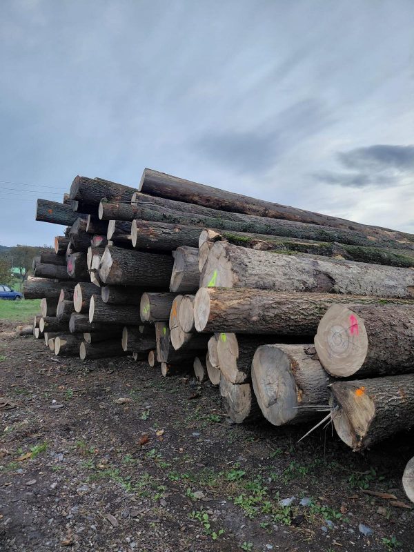 ROUND ASH WOOD WITH BARK