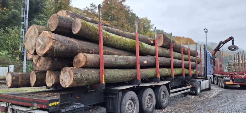 ROUND ASH WOOD WITH BARK 