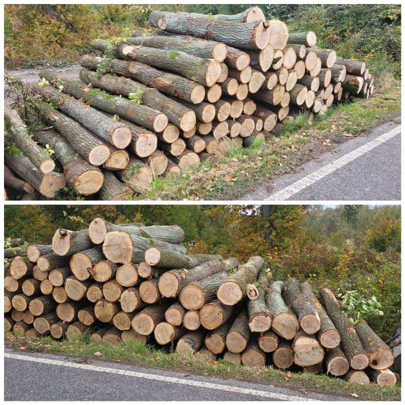 ROUND OAK WOOD WITH BARK 