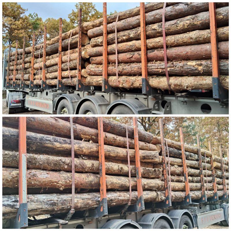 ROUND PINEWOOD WITH BARK 