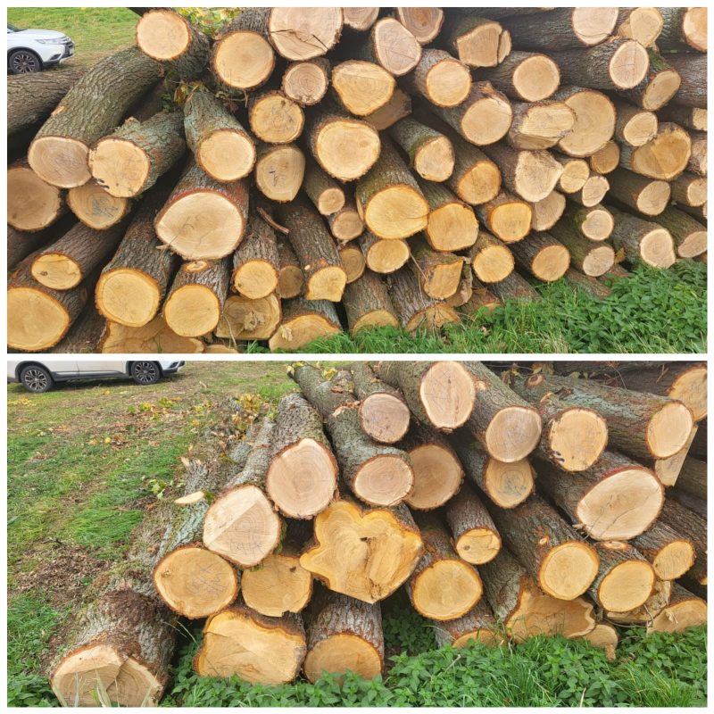 ROUND OAK WOOD WITH BARK 