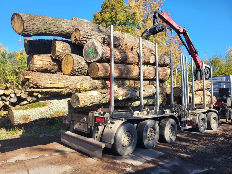 ROUND OAK WOOD WITH BARK 