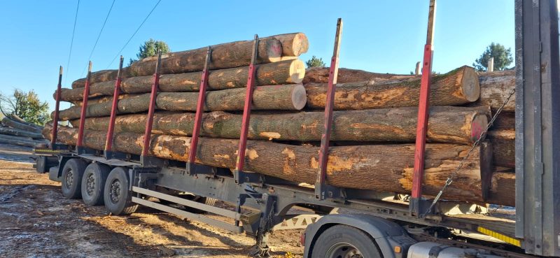 ROUND ASH WOOD WITH BARK 