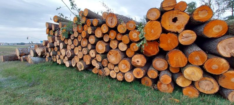 ROUND ALDER WOOD WITH BARK 