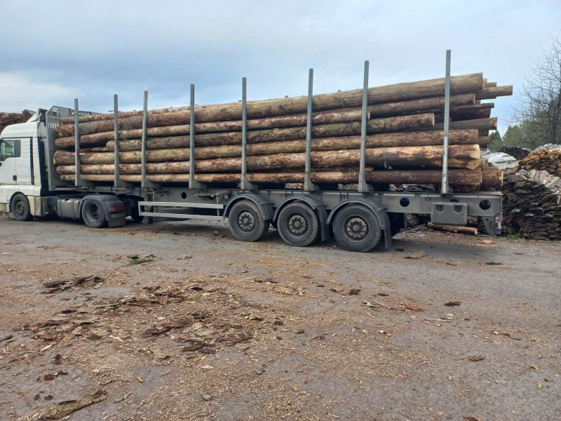 ROUND SPRUCEWOOD WITH BARK 
