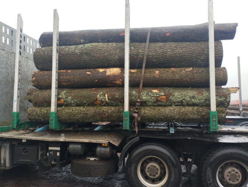ROUND ASH WOOD WITH BARK 