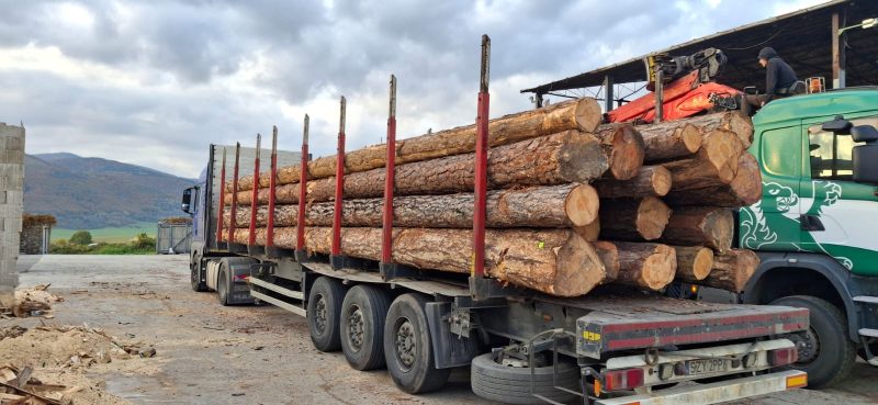 ROUND PINEWOOD WITH BARK 
